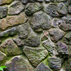 Liked the texture here.
